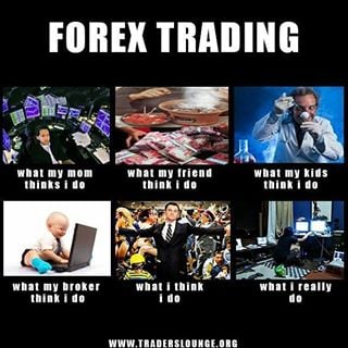 Forex brokers think