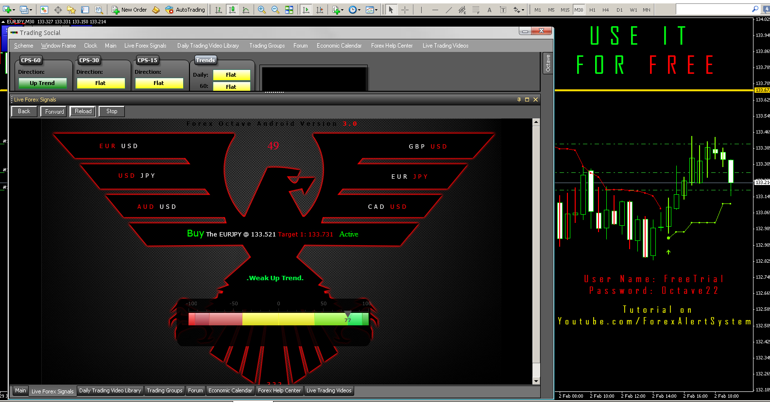 Forex trader pro
