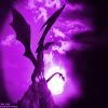 PurpleLotus
