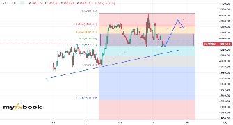 Rudy404's chart