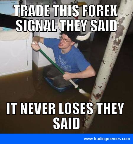 Forex Trading Funny Forex Memes | Forex Strategies Reddit