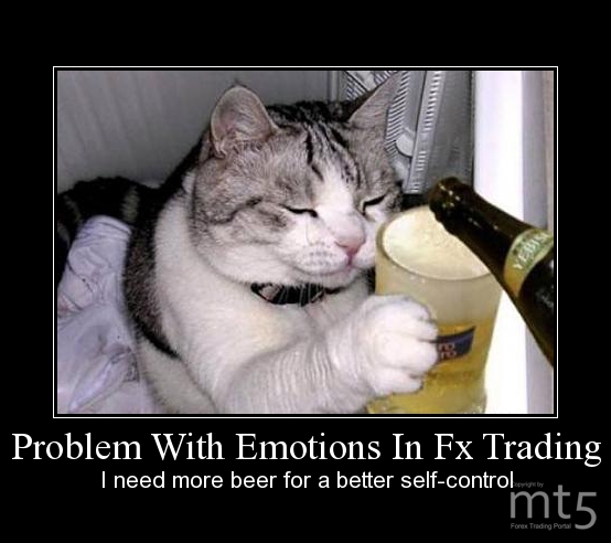Trading Jokes Diskussion Seite 10 Myfxbook - 