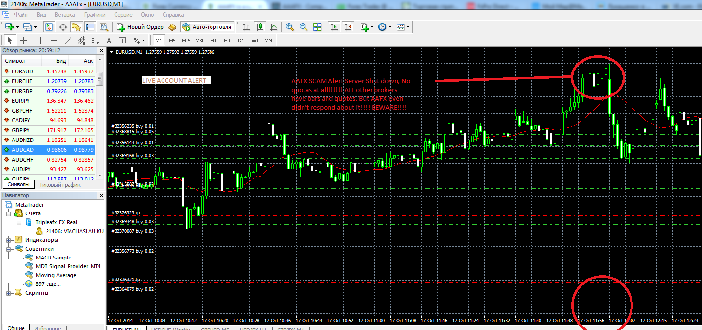 Aaafx forex broker