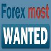 aforexmostwanted aforexmostwanted