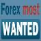 Forex Most Wanted EA