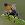 forex09 forex09