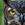 Look009 Look009