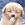 bkforex bkforex