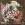 Rococo_XVII Rococo_XVII