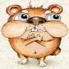 hamsterXoma hamsterXoma