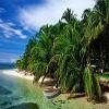 forex4pty forex4pty