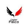 coder_falco