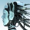 icebotfx icebotfx