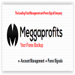 Meggaprofits